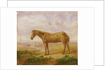 Old Billy, a Draught Horse, Aged 62 by Charles Towne