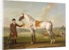 Scipio, Colonel Roche's Spotted Hunter, c.1750 by Thomas Spencer