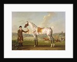 Scipio, Colonel Roche's Spotted Hunter, c.1750 by Thomas Spencer