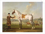 Scipio, Colonel Roche's Spotted Hunter, c.1750 by Thomas Spencer