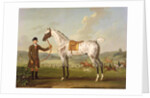 Scipio, Colonel Roche's Spotted Hunter, c.1750 by Thomas Spencer