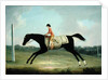 Borlase Cokayne as a Boy riding Sultana, 1751 by Thomas Smith of Derby