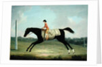 Borlase Cokayne as a Boy riding Sultana, 1751 by Thomas Smith of Derby