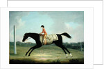 Borlase Cokayne as a Boy riding Sultana, 1751 by Thomas Smith of Derby