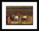 The Stables and Two Famous Running Horses belonging to His Grace, the Duke of Bolton, 1747 by James Seymour