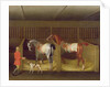 The Stables and Two Famous Running Horses belonging to His Grace, the Duke of Bolton, 1747 by James Seymour