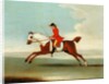 Galloping Racehorse and mounted Jockey in Red by James Seymour