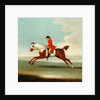 Galloping Racehorse and mounted Jockey in Red by James Seymour