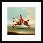 Galloping Racehorse and mounted Jockey in Red by James Seymour