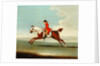 Galloping Racehorse and mounted Jockey in Red by James Seymour