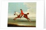 Galloping Racehorse and mounted Jockey in Red by James Seymour