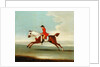 Galloping Racehorse and mounted Jockey in Red by James Seymour