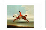 Galloping Racehorse and mounted Jockey in Red by James Seymour