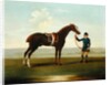 A Chestnut Horse held by a Groom by James Seymour