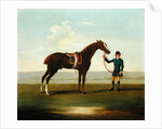 A Chestnut Horse held by a Groom by James Seymour