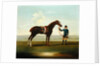 A Chestnut Horse held by a Groom by James Seymour