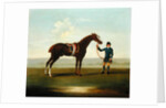 A Chestnut Horse held by a Groom by James Seymour