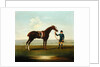 A Chestnut Horse held by a Groom by James Seymour