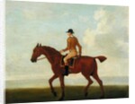 A Chestnut Racehorse with Jockey Up, c.1730 by James Seymour