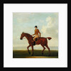 A Chestnut Racehorse with Jockey Up, c.1730 by James Seymour