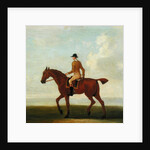 A Chestnut Racehorse with Jockey Up, c.1730 by James Seymour