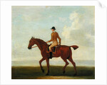 A Chestnut Racehorse with Jockey Up, c.1730 by James Seymour