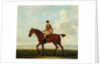 A Chestnut Racehorse with Jockey Up, c.1730 by James Seymour