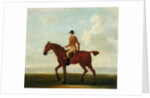 A Chestnut Racehorse with Jockey Up, c.1730 by James Seymour