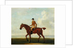A Chestnut Racehorse with Jockey Up, c.1730 by James Seymour