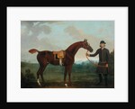 Old Fox held by a Groom by James Seymour