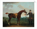 Old Fox held by a Groom by James Seymour