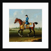 A Bay Racehorse with Jockey Up by James Seymour
