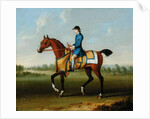 A Bay Racehorse with Jockey Up by James Seymour