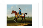 A Bay Racehorse with Jockey Up by James Seymour