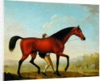 The Duke of Ancaster's Bay Stallion, Blank, walking towards a Mare by William Shaw