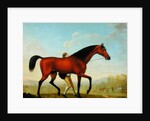 The Duke of Ancaster's Bay Stallion, Blank, walking towards a Mare by William Shaw
