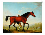 The Duke of Ancaster's Bay Stallion, Blank, walking towards a Mare by William Shaw