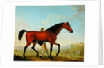 The Duke of Ancaster's Bay Stallion, Blank, walking towards a Mare by William Shaw
