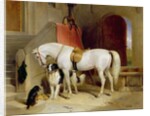 Prince George's Favourites by Edwin Landseer