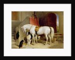 Prince George's Favourites by Edwin Landseer