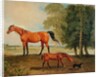 Broodmare with Foal and Terrier by Benjamin Marshall