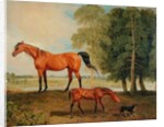 Broodmare with Foal and Terrier by Benjamin Marshall