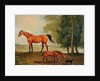 Broodmare with Foal and Terrier by Benjamin Marshall