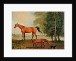Broodmare with Foal and Terrier by Benjamin Marshall