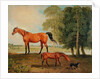 Broodmare with Foal and Terrier by Benjamin Marshall