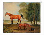 Broodmare with Foal and Terrier by Benjamin Marshall