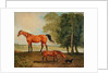 Broodmare with Foal and Terrier by Benjamin Marshall