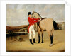 James Taylor Wray of the Bedale Hunt with his Dun Hunter by Anson A. Martin