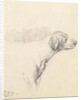Study of a Hound, 1794 by George Morland