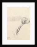 Study of a Hound, 1794 by George Morland